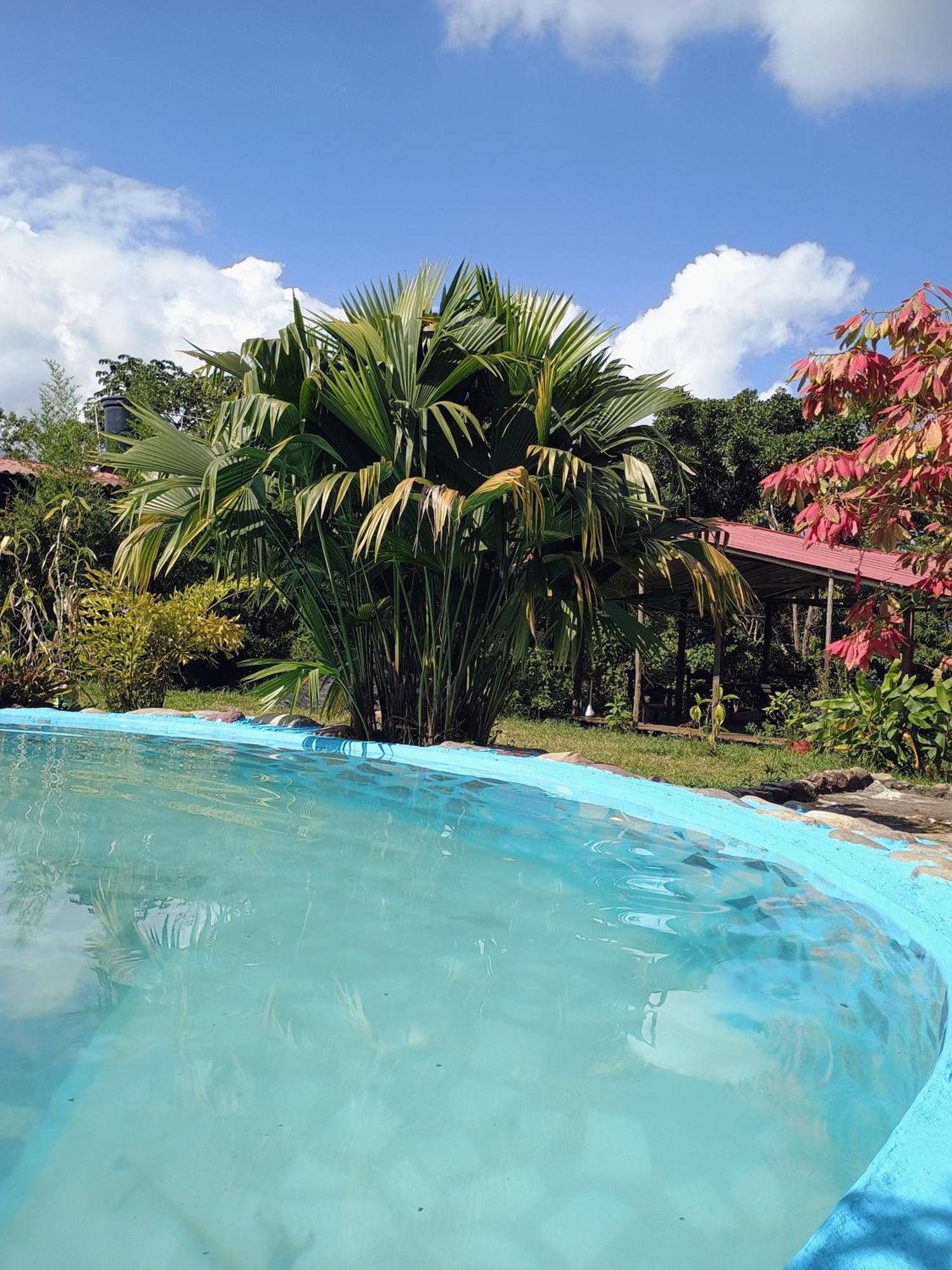 Posadamanduka Eco-Hostel Villavicencio Exterior photo